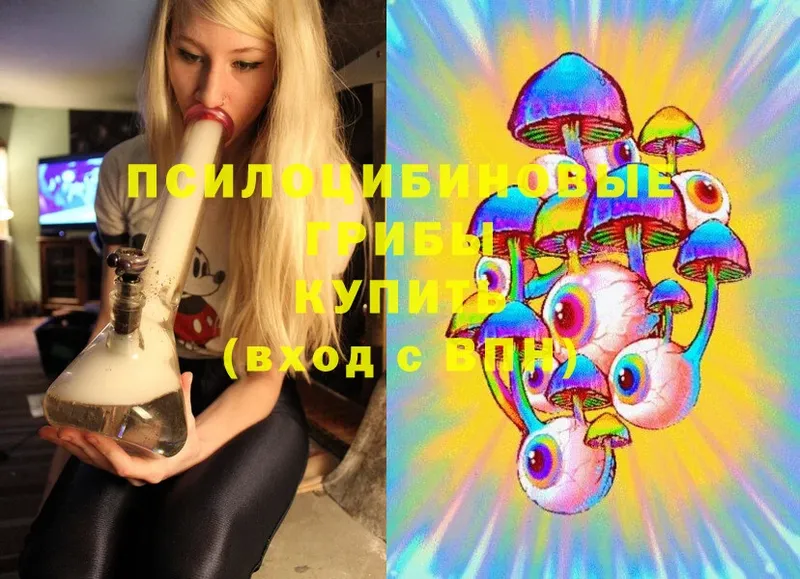 Псилоцибиновые грибы MAGIC MUSHROOMS  цены наркотик  Анива 